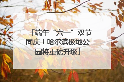 端午“六一”双节同庆！哈尔滨极地公园将重磅升级