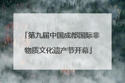 第九届中国成都国际非物质文化遗产节开幕