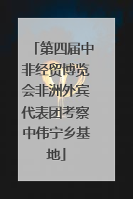 第四届中非经贸博览会非洲外宾代表团考察中伟宁乡基地