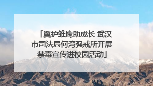 翼护雏鹰助成长 武汉市司法局何湾强戒所开展禁毒宣传进校园活动