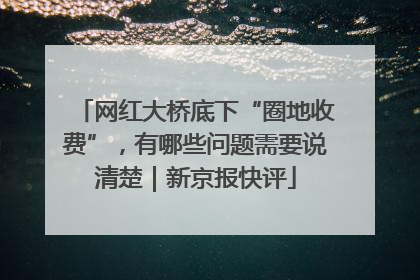 网红大桥底下“圈地收费”，有哪些问题需要说清楚｜新京报快评