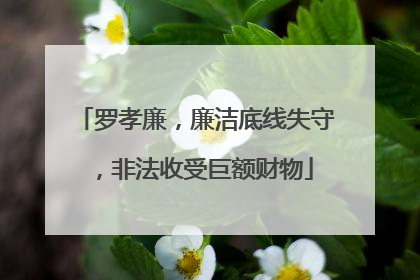 罗孝廉，廉洁底线失守，非法收受巨额财物