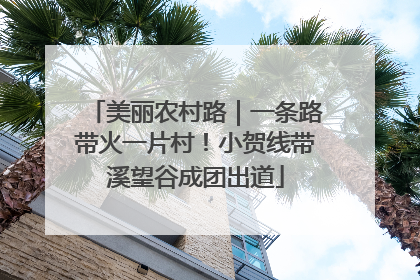 美丽农村路｜一条路带火一片村！小贺线带溪望谷成团出道