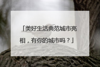 美好生活典范城市亮相，有你的城市吗？