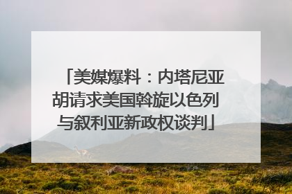 美媒爆料：内塔尼亚胡请求美国斡旋以色列与叙利亚新政权谈判