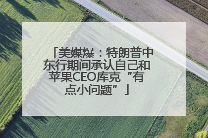 美媒爆：特朗普中东行期间承认自己和苹果CEO库克“有点小问题”