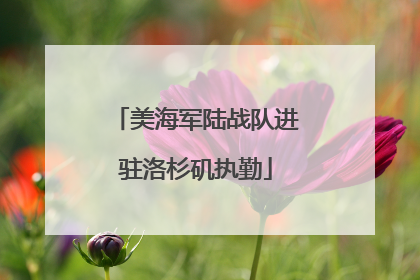美海军陆战队进驻洛杉矶执勤