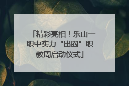 精彩亮相！乐山一职中实力“出圈”职教周启动仪式