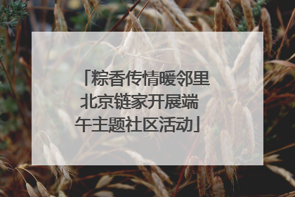 粽香传情暖邻里 北京链家开展端午主题社区活动