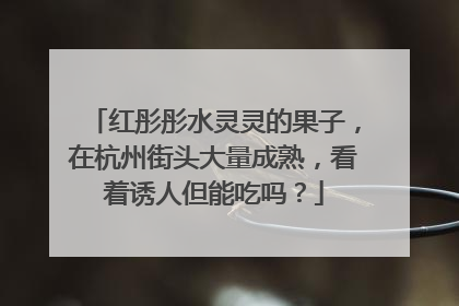 红彤彤水灵灵的果子，在杭州街头大量成熟，看着诱人但能吃吗？