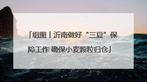 组图丨沂南做好“三夏”保障工作 确保小麦颗粒归仓
