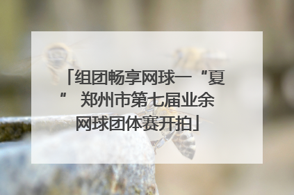 组团畅享网球一“夏” 郑州市第七届业余网球团体赛开拍