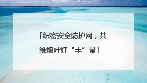 织密安全防护网，共绘烟叶好“丰”景