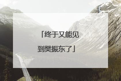 终于又能见到樊振东了