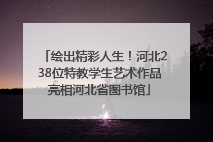 绘出精彩人生！河北238位特教学生艺术作品亮相河北省图书馆