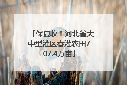 保夏收！河北省大中型灌区春灌农田707.4万亩