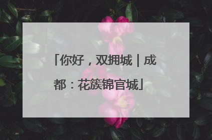 你好，双拥城｜成都：花簇锦官城