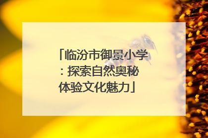 临汾市御景小学：探索自然奥秘 体验文化魅力