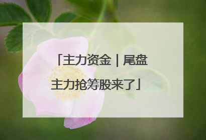 主力资金｜尾盘主力抢筹股来了