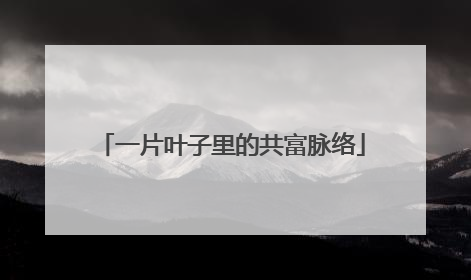 一片叶子里的共富脉络