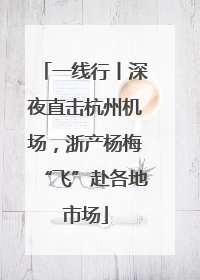 一线行丨深夜直击杭州机场，浙产杨梅“飞”赴各地市场