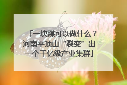 一块煤可以做什么？河南平顶山“裂变”出一个千亿级产业集群
