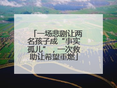 一场悲剧让两名孩子成“事实孤儿”，一次救助让希望重燃