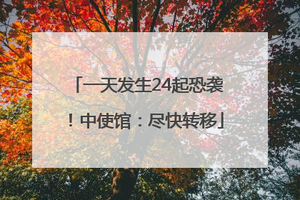一天发生24起恐袭！中使馆：尽快转移
