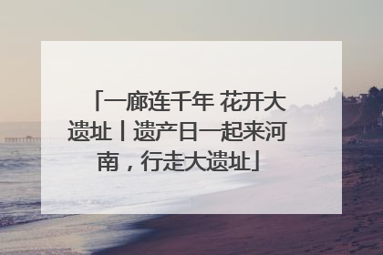 一廊连千年 花开大遗址丨遗产日一起来河南，行走大遗址