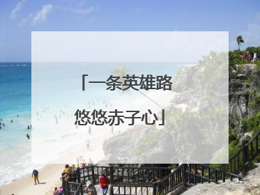 一条英雄路 悠悠赤子心