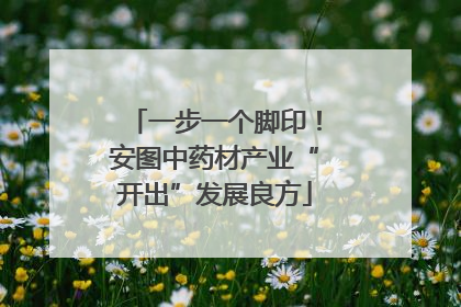 一步一个脚印！安图中药材产业“开出”发展良方