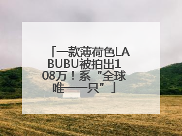 一款薄荷色LABUBU被拍出108万！系“全球唯一一只”