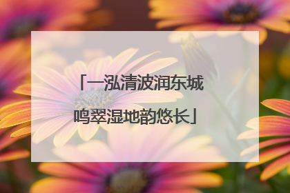 一泓清波润东城 鸣翠湿地韵悠长