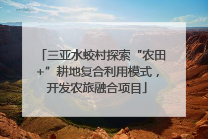 三亚水蛟村探索“农田+”耕地复合利用模式，开发农旅融合项目