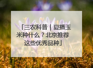 三农科普｜夏播玉米种什么？北京推荐这些优秀品种