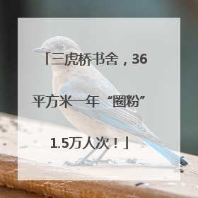 三虎桥书舍，36平方米一年“圈粉”1.5万人次！