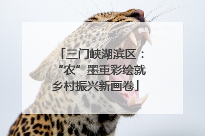 三门峡湖滨区：“农”墨重彩绘就乡村振兴新画卷