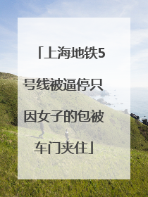 上海地铁5号线被逼停只因女子的包被车门夹住