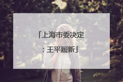上海市委决定：王平履新