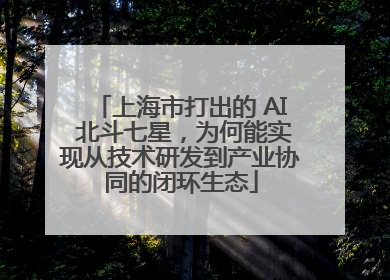 上海市打出的 AI 北斗七星，为何能实现从技术研发到产业协同的闭环生态