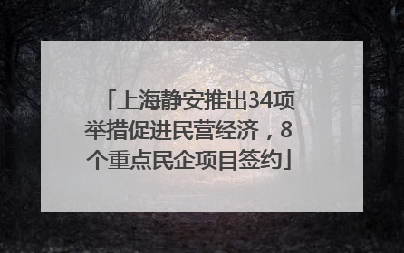 上海静安推出34项举措促进民营经济，8个重点民企项目签约
