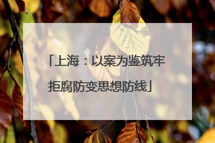 上海：以案为鉴筑牢拒腐防变思想防线