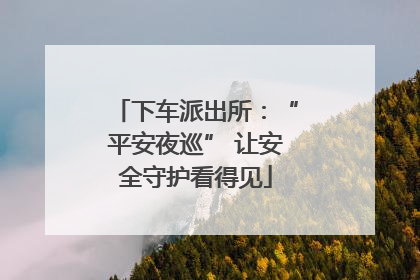 下车派出所：“平安夜巡” 让安全守护看得见