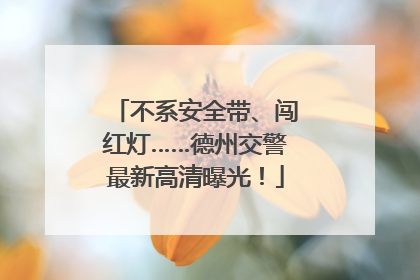 不系安全带、闯红灯……德州交警最新高清曝光！