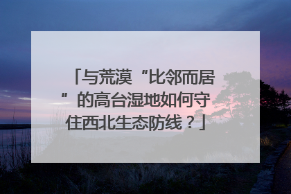 与荒漠“比邻而居”的高台湿地如何守住西北生态防线？