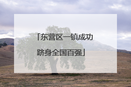 东营区一镇成功跻身全国百强