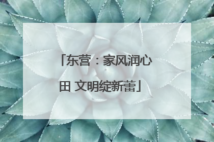 东营：家风润心田 文明绽新蕾