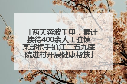 两天奔波千里，累计接待400余人！驻镇某部携手镇江三五九医院进村开展健康帮扶