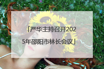 严华主持召开2025年邵阳市林长会议