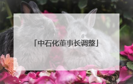 中石化董事长调整